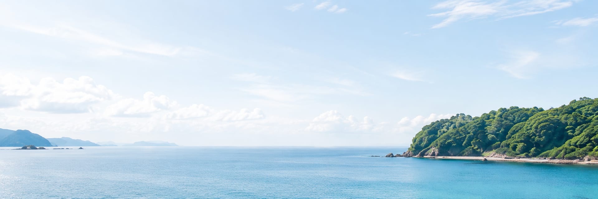 高知の海と緑の海岸